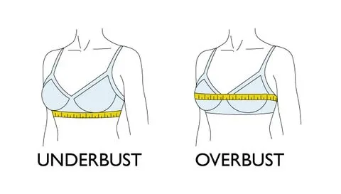 underbust and overbust